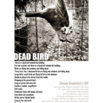 dead_bird2-thumb